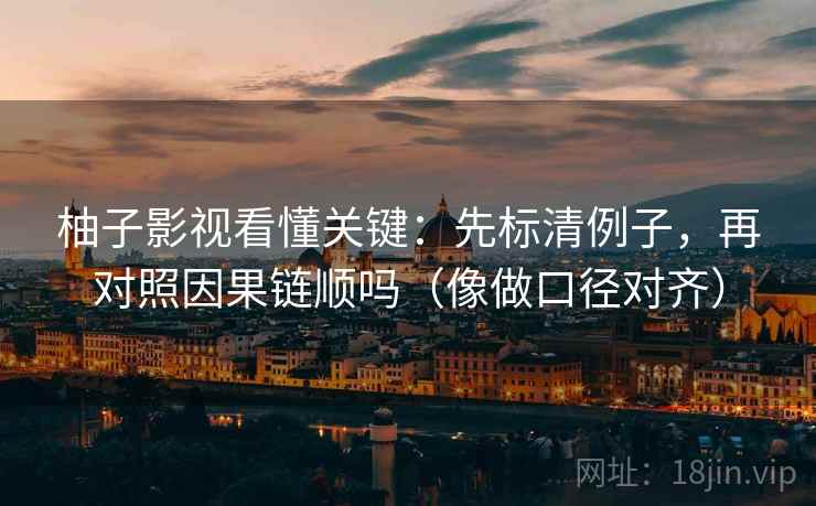 柚子影视看懂关键：先标清例子，再对照因果链顺吗（像做口径对齐）